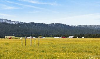 17 Gray Ln, Cascade, ID 83611