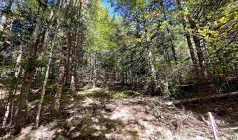 00 Marshall Newland Rd, Burke, VT 05832