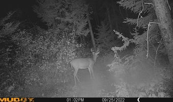 6506 DOUBLE BEND Rd, Argonne, WI 54511