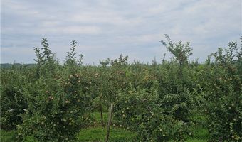 3120 Densmore Rd, Albion, NY 14411