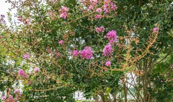 10213 GERMANTOWN Rd, Berlin, MD 21811