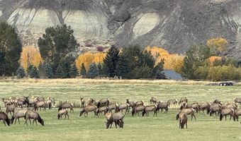 TBD Hawk Dr 217, Cody, WY 82414