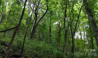 Killdevil Hill Lane unit 9 & 10 9 & 10, Bat Cave, NC 28792