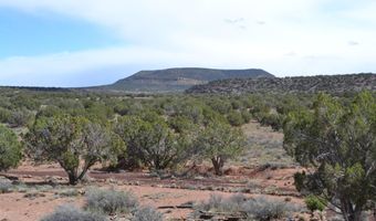 32 N8544 398, Concho, AZ 85924