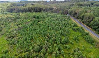 62- Acres Grandmas Hill Rd, Amherst, VA 24521