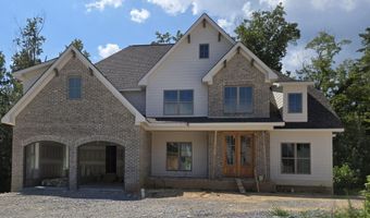 10586 Brownspring Dr 113, Apison, TN 37302