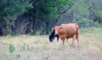 1965 Fm-933, Aquilla, TX 76622