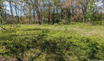 27 Woodtrail Way, Arden, NC 28704