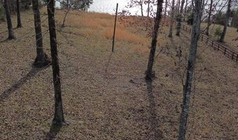 763 PURDY VIEW ACRES Dr Lot 2, Bath Springs, TN 38311