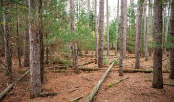 Lot 87 20th Avenue, Arkdale, WI 54613