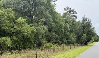 4850 NW 55th Ave, Bell, FL 32619