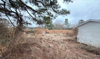 484 Yellow Skin Rd, Autryville, NC 28318