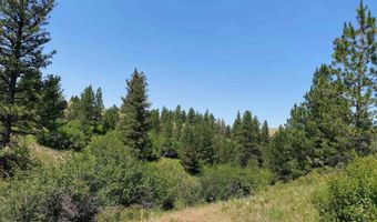 NNA Cloverland Road, Asotin, WA 99402