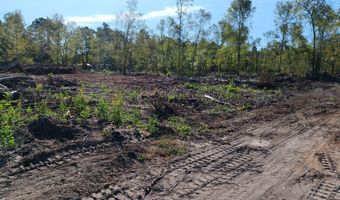 Londe Lane, Barnwell, SC 29812