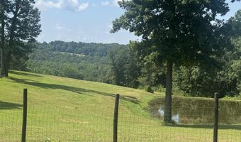 669 Saint John Rd, Baileyton, AL 35019