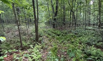 Fritz Run Rd, Ballard, WV 24918