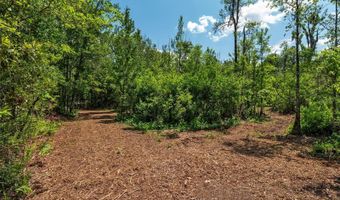 4814 NW 244 Ave, Alachua, FL 32615