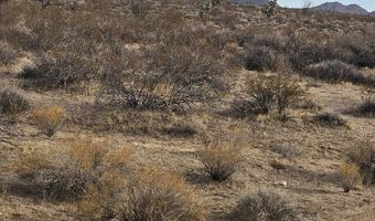 Lot 12 S Roll Rd, Yucca, AZ 86438