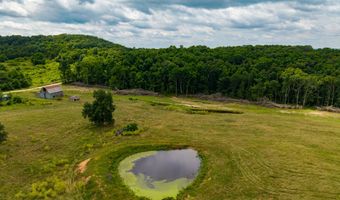 County Road Y-521, Ava, MO 65608