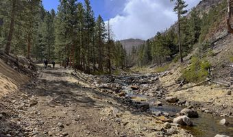 122 Black Hollow Rd, Bellvue, CO 80512