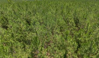 0 Oriole Rd, Alma, GA 31510