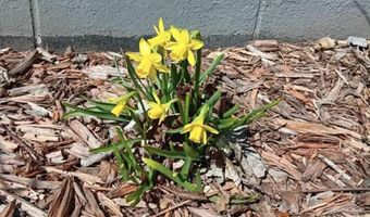 2137 S 5th Ave, Alpena, MI 49707