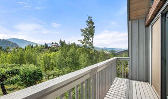 927 Red Mountain Rd, Aspen, CO 81611