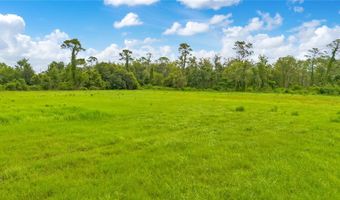 ROCK SPRINGS Road, Apopka, FL 32712