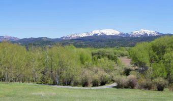 350 W TETON HIDEAWAY Dr, Alta, WY 83414