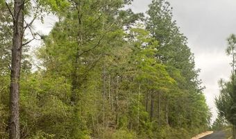 16 Acres Sherman Kennedy Rd, Baker, FL 32531