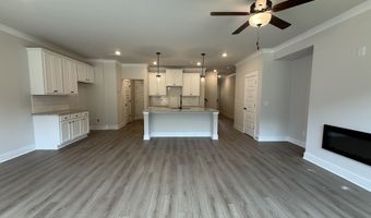 317 Brook Landing Cir, Auburn, GA 30011