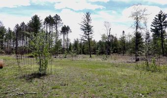 5826 S Morrison Rd, Alger, MI 48610