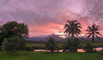221 Kihapai St 1&2, Kailua, HI 96734