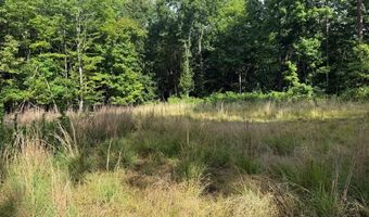 572 Dameron Rd, Ballard, WV 24918