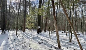 Lot 80-1 Currier Road, Candia, NH 03034