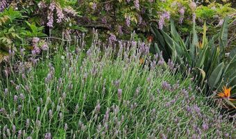 1864 Winterwarm, Fallbrook, CA 92028