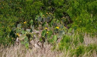 TR 4 Fm 735, Alice, TX 78332