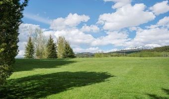 430 YELLOW ROSE Dr, Alta, WY 83414