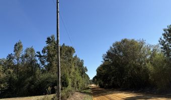 005 G Wallace Buie Rd, Ashford, AL 36376