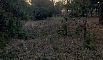 Early Dawn Drive, Big Arm, MT 59910