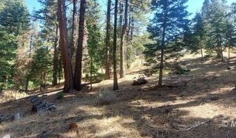 1 Acre McKenney Dr, Alturas, CA 96101