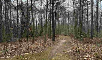 2564 E Brutus, Alanson, MI 49706