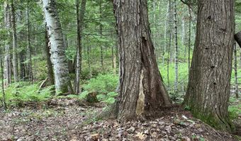 Tbd Spruce Drive, Anson, ME 04911