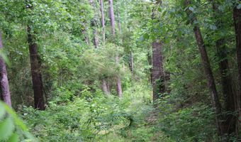 WOOTEN ROAD lot 6 Acres, Alabaster, AL 35007