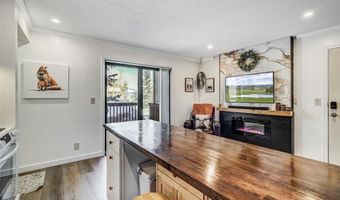 306 ILLINOIS GULCH Rd 113, Breckenridge, CO 80424