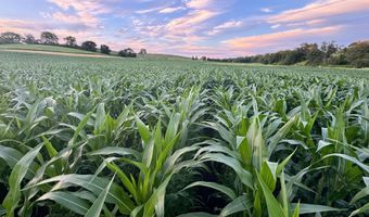 2590 220th St, Arion, IA 51520