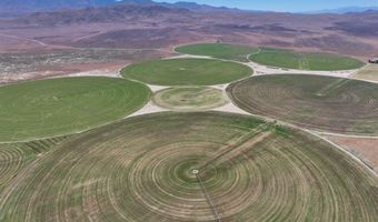 51955 Wilder Creek Rd, Denio, NV 89404