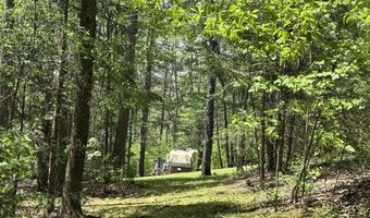 Gold Coast Road, Bridgewater, VT 05034