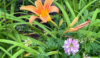 1136 Art Gallery Rd, Bedford, IN 47421