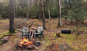 170 E Shore Dr, Adirondack, NY 12808
